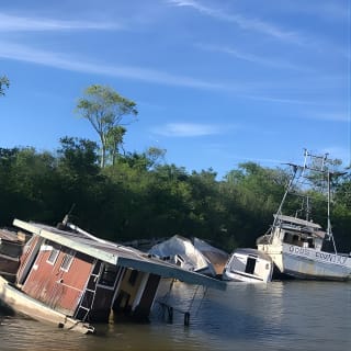 Self Guided Kayak Bayou Swamp Tour 2