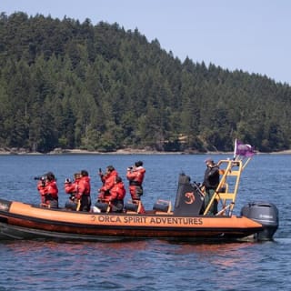 Whale Watching Tour in a Zodiac Boat in Victoria 5