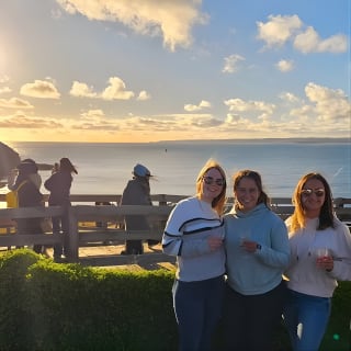Phillip Island Penguins, Wine Tasting and Dinner from Melbourne 7