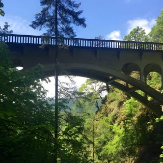 Explore Columbia River Gorge Half-Day Small-Group Tour  20