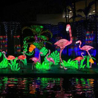 Luminosa 2026 — Miami, Reimagined in Light 3
