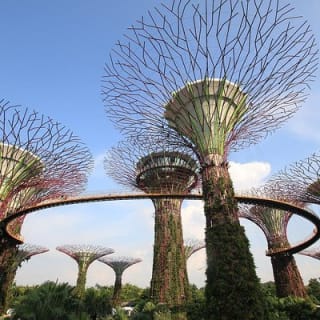 Singapur: Jardines de la Bahía - Entrada E-Ticket 1