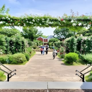 Yokohama Then and Now Walking Tour of the Port Opening Era 2