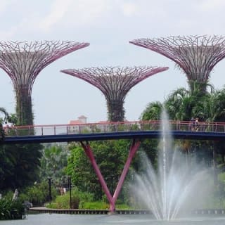 Singapur: Jardines de la Bahía - Entrada E-Ticket 2