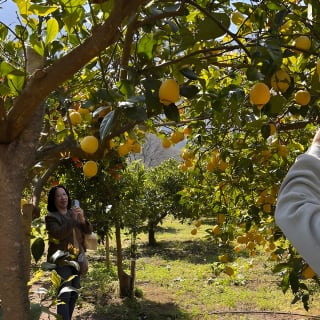 Soller Valley Walk with Orange Farm Visit 49
