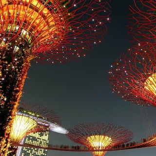 Singapur: Jardines de la Bahía - Entrada E-Ticket 3