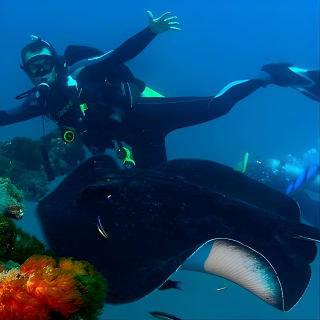 Scuba Dive the S.S. Yongala Wreck on the Great Barrier Reef.  6