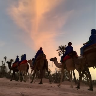 Balade à dos de chameau au coucher du soleil dans la palmeraie de Marrakech 1