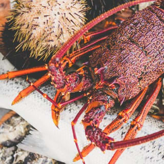 Deep-to-Dish: Tasmanian Seafood Experience  2