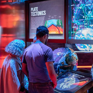 Museo di Storia Naturale di Houston 1