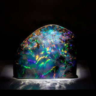 Museo di Storia Naturale di Houston 2