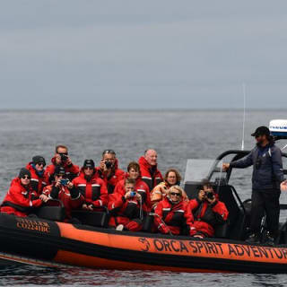 Whale Watching Tour in a Zodiac Boat in Victoria 11