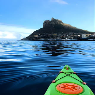 Guided Kayaking in Hout Bay 4