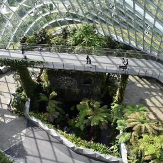 Singapur: Jardines de la Bahía - Entrada E-Ticket 5