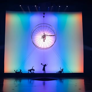 Drawn to Life presented by Cirque du Soleil and Disney 7
