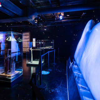 TITANIC: The Artifact Exhibition - Las Vegas - Gift Card 4