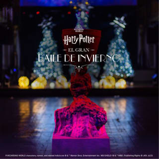 Harry Potter: El Gran Baile de Invierno 3