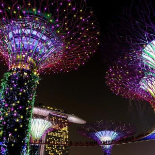 Singapur: Jardines de la Bahía - Entrada E-Ticket 8