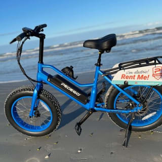 Full-Day Electric Bike Rental 2