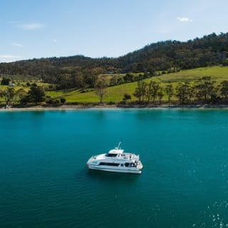 Deep-to-Dish: Tasmanian Seafood Experience  6