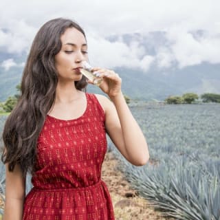 Distilleria di tequila José Cuervo: tour da Guadalajara 3
