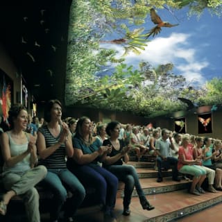 Loro Parque: Entrada 30