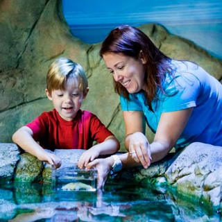 Entrada al acuario SEA LIFE Dallas 1