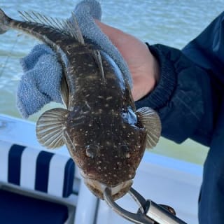 Gold Coast's Broadwater Private Calm Water Fishing 20