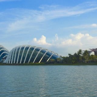 Singapur: Jardines de la Bahía - Entrada E-Ticket 9