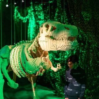 Billet combiné The Art of the Brick + House of Banksy - Carte Cadeau 4