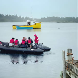 2-Horas Paseo Costero del Zodíaco en Lunenburg 4