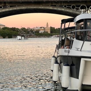 Siviglia: Giro guidato in barca sul Guadalquivir 5