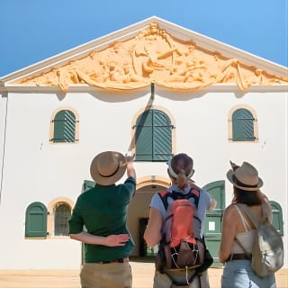 Constantia Wine Walk Storytelling Vineyard Tour with Lunch 4