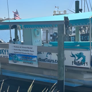 Frisky Mermaid Dolphin Tour + Secluded Beach + Equip 9