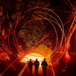 Light Cycles: A glowing night walk through nature, light, and sound 6