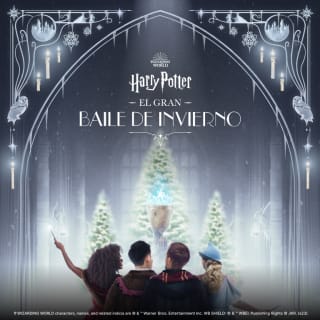 Harry Potter: El Gran Baile de Invierno 1