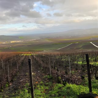 Champagne Area Tour di gruppo presso una delle più importanti case di Champagne & una cantina familiare 6