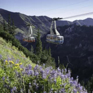 Salt Lake Connect Pass: 365 Days 5