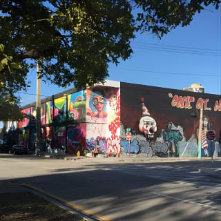 French Street Art Tour a Wynwood, Miami 1