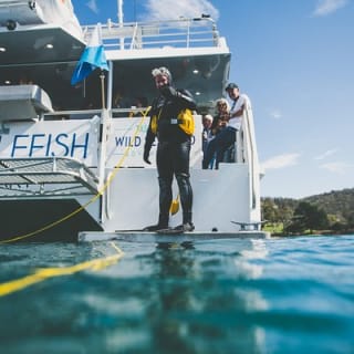 Deep-to-Dish: Tasmanian Seafood Experience  11