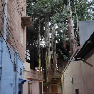 Private Tour Of Mehrangarh Fort  24