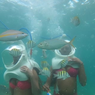 Underwater Sea Trek in San Juan: Explore Beneath the Waves 11