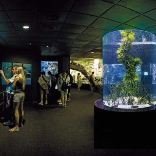 Loro Parque: Entrada 48