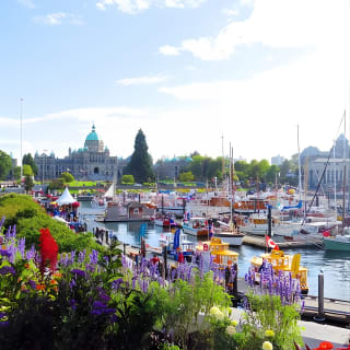 Visita guiada de un día completo en Victoria con los Jardines Butchart 9