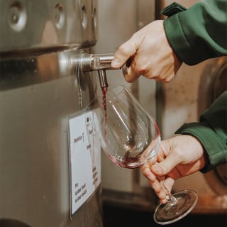 Wine tour at Adega da Gaveta 4