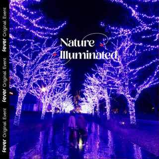 Nature Illuminated: The Harmony of the Seasons 2