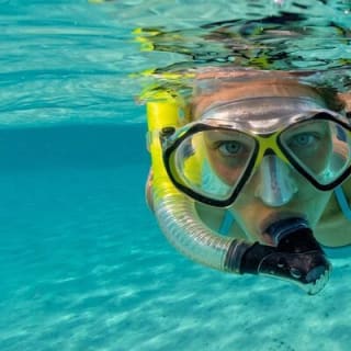 Reef Snorkel et Ocean Paddle Adventure à Fort Lauderdale Beach 2