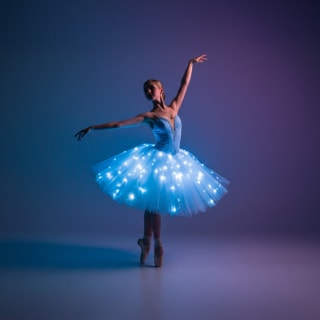 Ballet of Lights : Cendrillon dans un spectacle étincelant 5