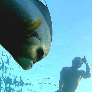 Reef Snorkel et Ocean Paddle Adventure à Fort Lauderdale Beach 7