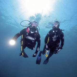 Full-Day Scuba Diving Charter to Goat Island Marine Reserve from Warkworth 1